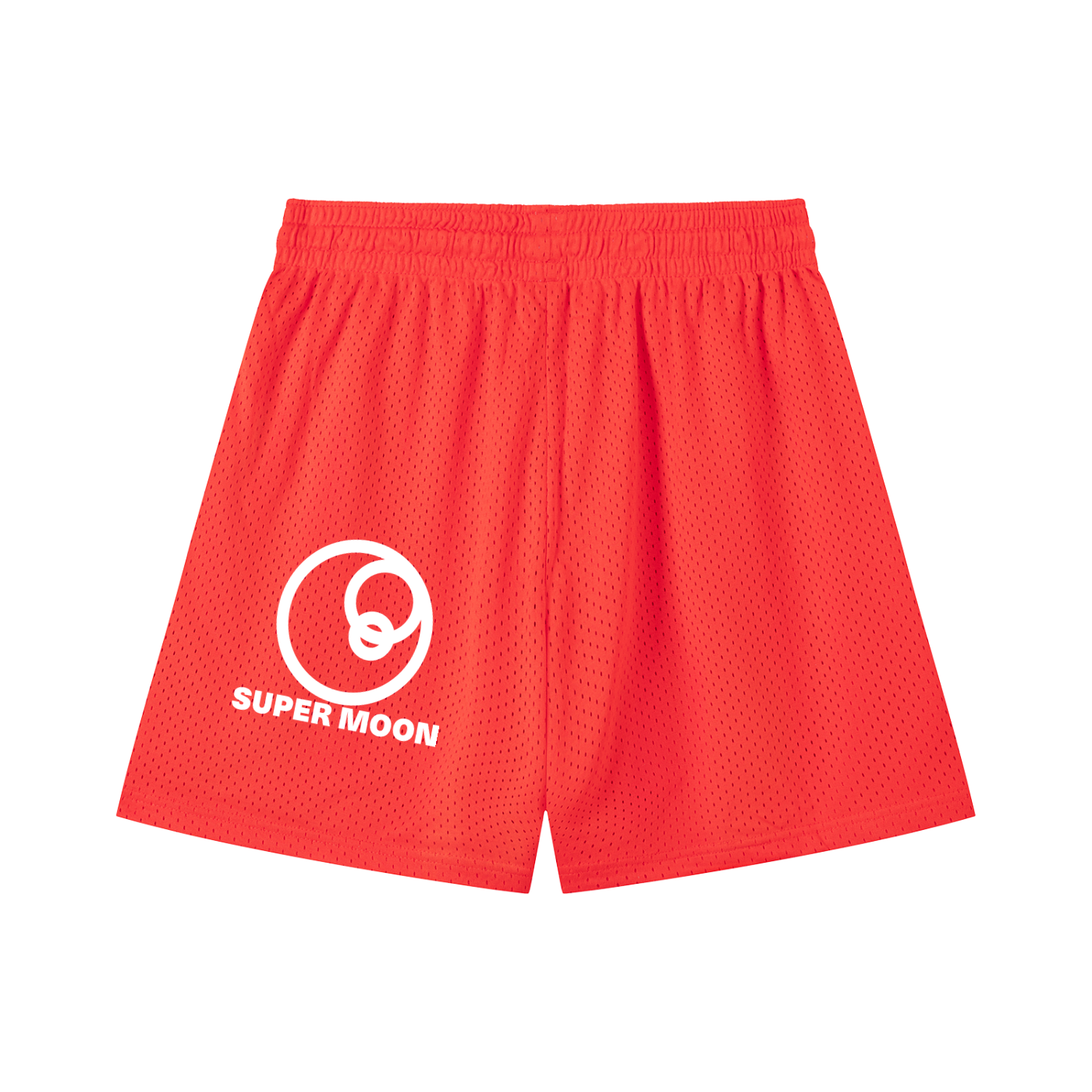 MINORITY RULES GYM SHORTS
