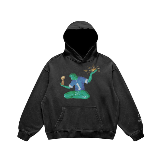 Spirit of the lions hoodie