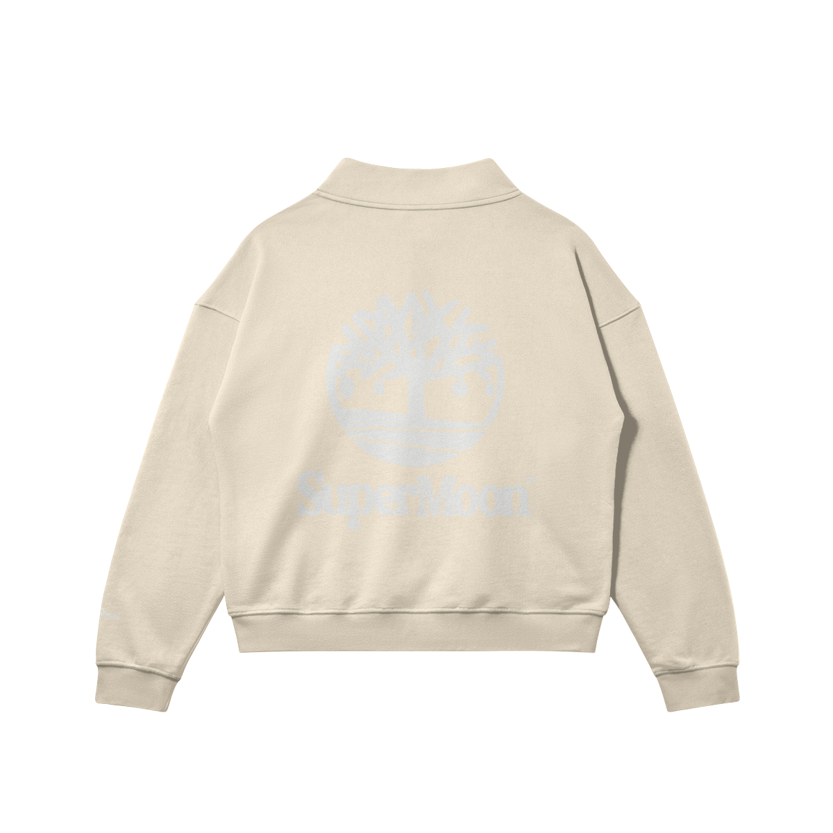 0-Y65-Back Side